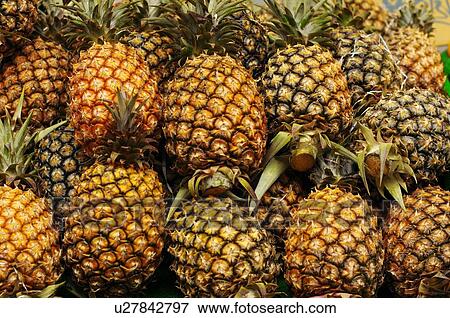 Stock Photo - Close-up of pineapples. Fotosearch