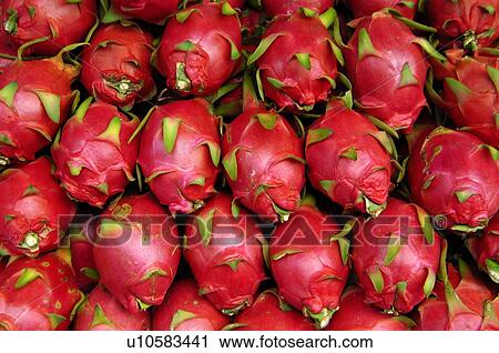 Stock Image - Close-up of pitayas. Fotosearch