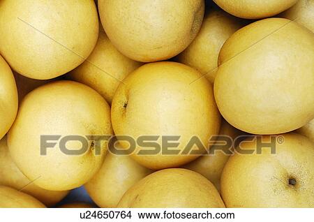Picture - Close-up of raw Potatoes. Fotosearch