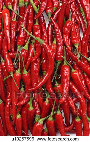 Close-up of red chili peppers View Large Photo Image Stock Photograph - Close-up of red chili peppers. Fotosearch