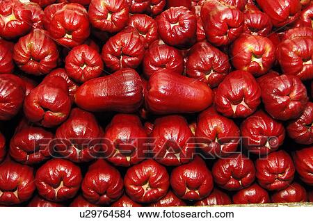 Picture - Close-up of water apples. Fotosearch