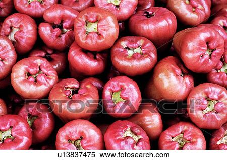 Close-up of water apples View Large Photo Image Stock Photography - Close-up of water apples. Fotosearch