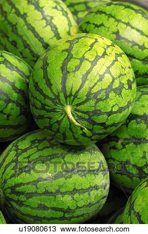 Stock Image - Close-up of watermelons. Fotosearch