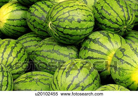 Stock Photography - Close-up of watermelons. Fotosearch