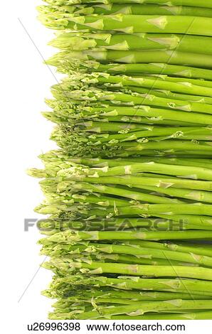 Stock Photo - Bunches of asparagus. Fotosearch