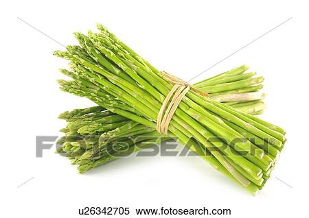 Stock Photography - Bunches of asparagus. Fotosearch