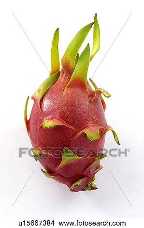 Picture - Close-up of a pitaya. Fotosearch