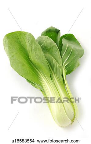 Picture - Close-up of bok choy. Fotosearch