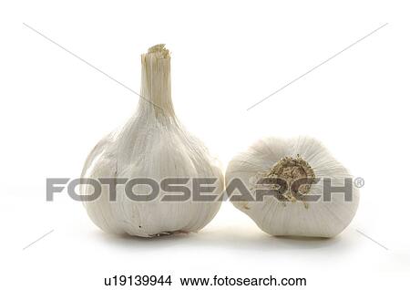 Picture - Close-up of garlic. Fotosearch