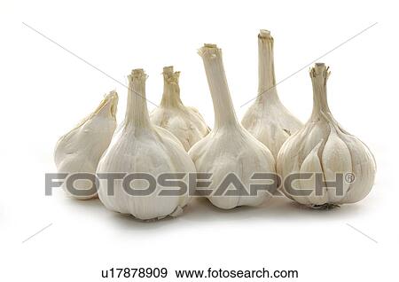 Stock Photo - Close-up of garlic. Fotosearch