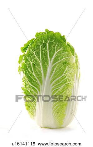 Close-up of lettuce leaves View Large Photo Image Stock Photography - Close-up of lettuce leaves. Fotosearch