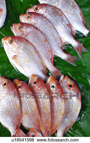 Stock Photo - Close-up of raw fish. Fotosearch