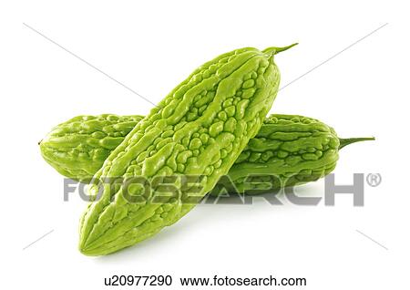 Close-up of two bitter melons View Large Photo Image Stock Image - Close-up of two bitter melons. Fotosearch