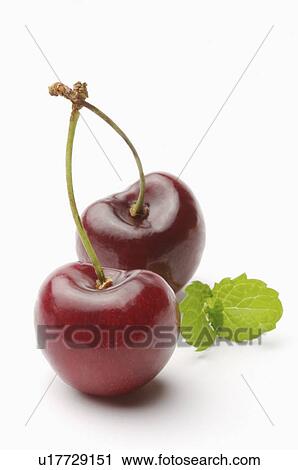 Cherry, View Large Photo Image Stock Image - Cherry,. Fotosearch