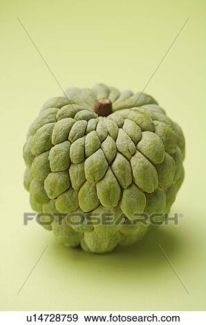Stock Photo - Custard Apple,. Fotosearch