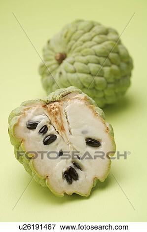 Custard Apple, View Large Photo Image Stock Photo - Custard Apple,. Fotosearch