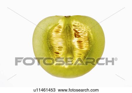 Honeydew Melon, View Large Photo Image Stock Image - Honeydew Melon,. Fotosearch