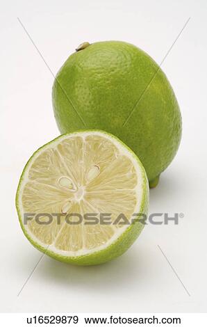 Stock Photo - Lemon,. Fotosearch