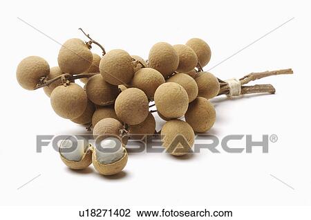 Stock Image - Longan,. Fotosearch