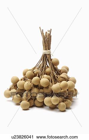 Stock Image - Longan,. Fotosearch