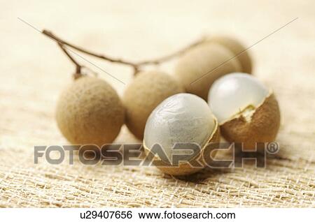 Longan, View Large Photo Image Stock Photograph - Longan,. Fotosearch