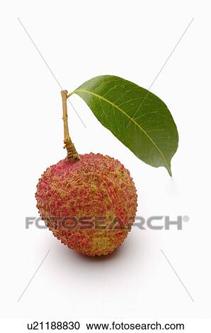 Stock Image - Lychee,. Fotosearch