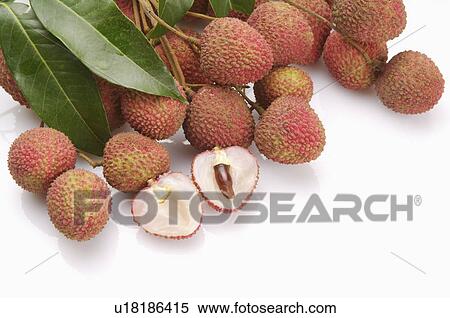 Stock Photography - Lychee,. Fotosearch