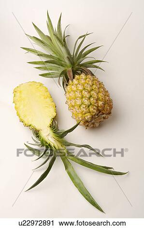 Pineapple, View Large Photo Image Stock Image - Pineapple,. Fotosearch