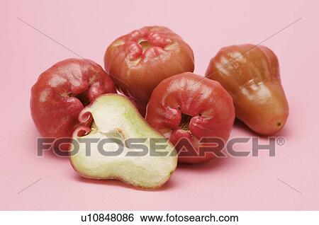 Stock Photograph - Water Apple,. Fotosearch