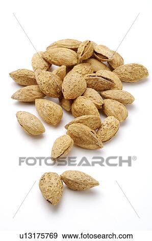 Almond, View Large Photo Image Stock Photo - Almond,. Fotosearch