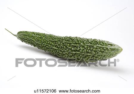 Stock Photograph - Bitter Melon,. Fotosearch