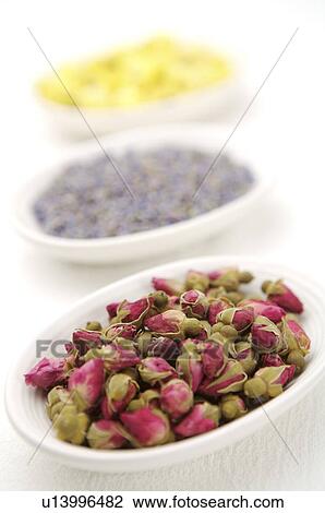 Chrysanthemum, Rose, Lavender, View Large Photo Image Stock Image - Chrysanthemum, Rose, Lavender,. Fotosearch