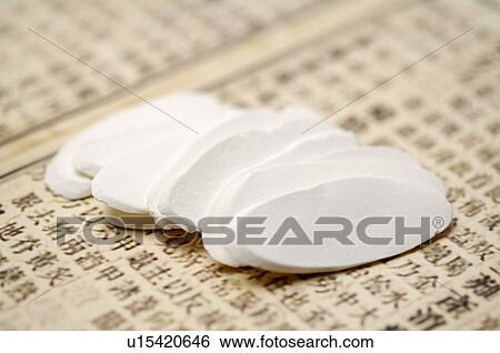 Stock Photograph - Common Yam Rhizome,. Fotosearch