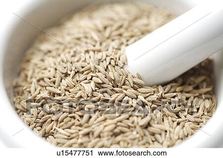 Cumin, View Large Photo Image Stock Image - Cumin,. Fotosearch