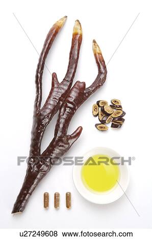 Stock Photo - Ganoderma Lucidum,. Fotosearch