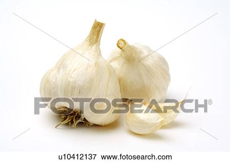 Stock Photo - Garlic,. Fotosearch