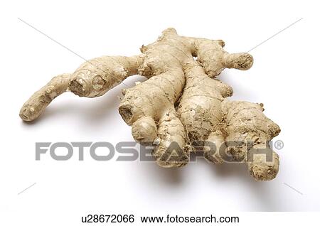 Stock Photograph - Ginger,. Fotosearch