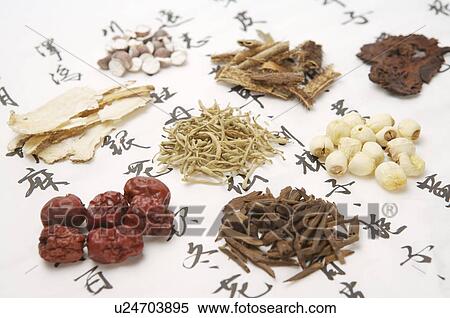 Stock Photography - Gordon Euryale Seed, Date, Common Aucklandia Root, Manyprickle Acathopanax Root, Fleece flower Root, Angelica, Honeysuckle Flower, Lotus Seed,. Fotosearch