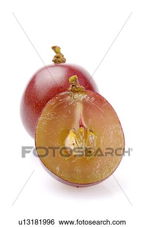 Grapes, View Large Photo Image Stock Photograph - Grapes,. Fotosearch