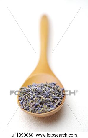Lavender, View Large Photo Image Stock Image - Lavender,. Fotosearch