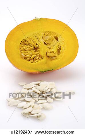 Pumpkin, Pepita, View Large Photo Image Stock Photo - Pumpkin, Pepita,. Fotosearch