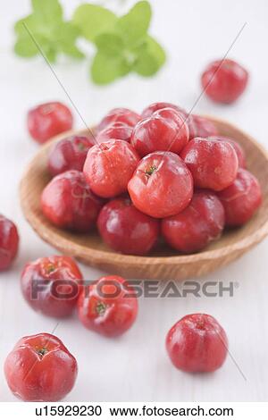 Acerola View Large Photo Image Stock Image - Acerola. Fotosearch