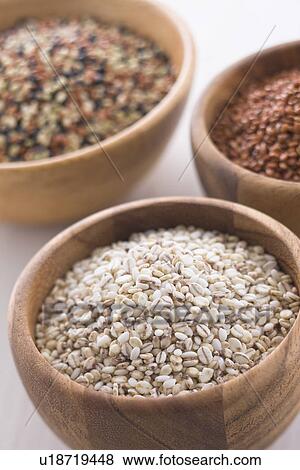 Barley and Ancient Rice View Large Photo Image Stock Photo - Barley and Ancient Rice. Fotosearch