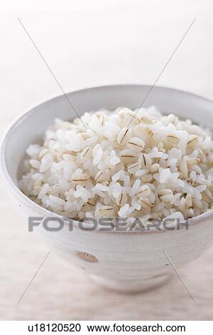 Barley and Brown Rice View Large Photo Image Stock Image - Barley and Brown Rice. Fotosearch