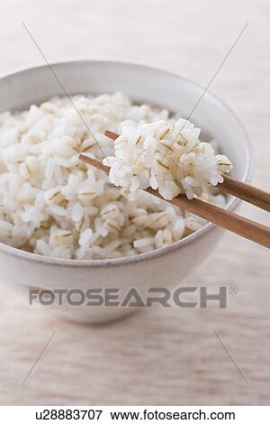 Stock Photo - Barley and Brown Rice. Fotosearch