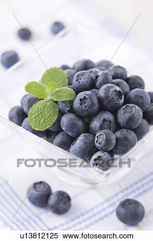 Blueberry View Large Photo Image Stock Photography - Blueberry. Fotosearch