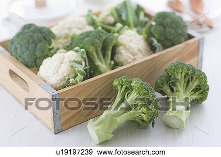 Stock Photo - Broccoli and Cauliflower. Fotosearch