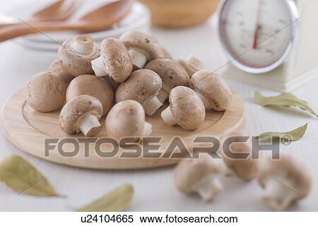 Stock Photography - Brown Mushroom. Fotosearch