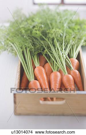 Picture - Carrot in a Box. Fotosearch