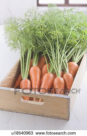 Carrot in a Box View Large Photo Image Stock Image - Carrot in a Box. Fotosearch